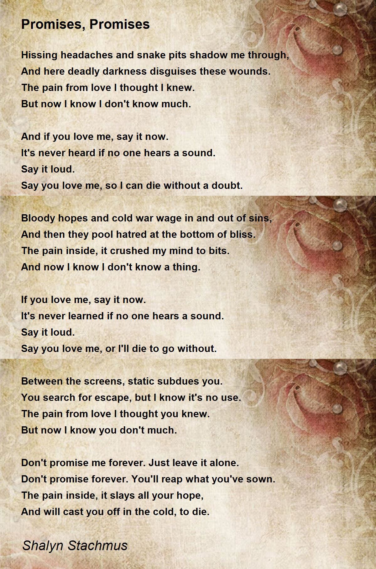 Promises, Promises Poem by Shalyn Stachmus - Poem Hunter