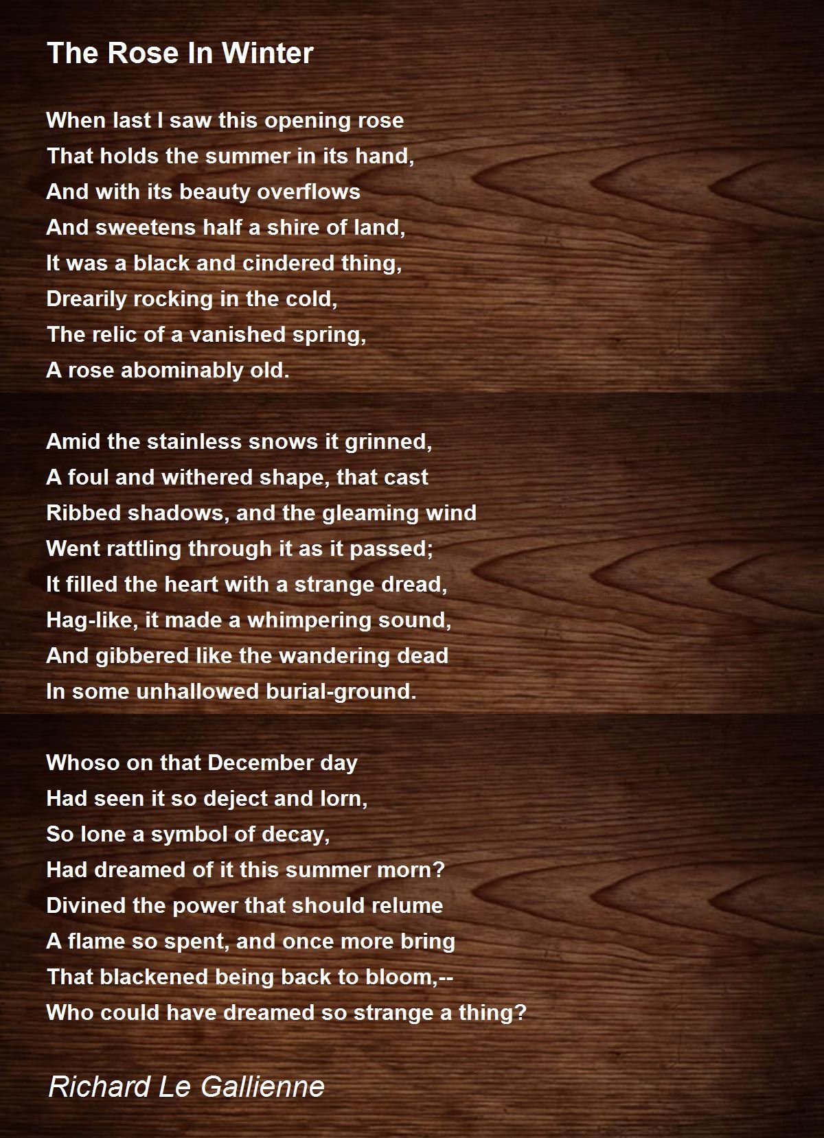 The Rose In Winter The Rose In Winter Poem by Richard Le Gallienne
