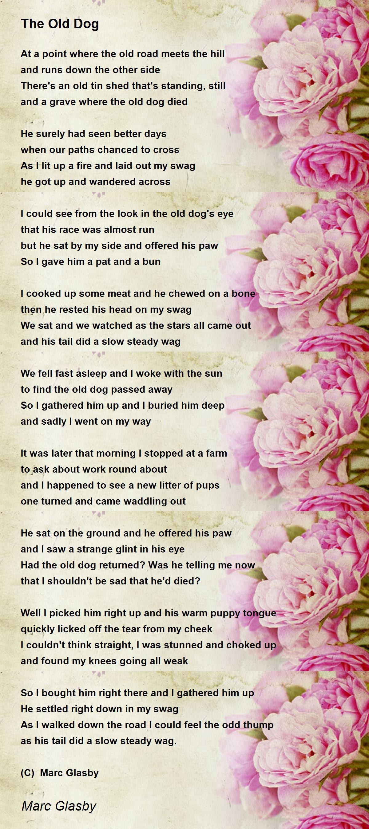 The Old Dog Poem by Marc Glasby - Poem Hunter