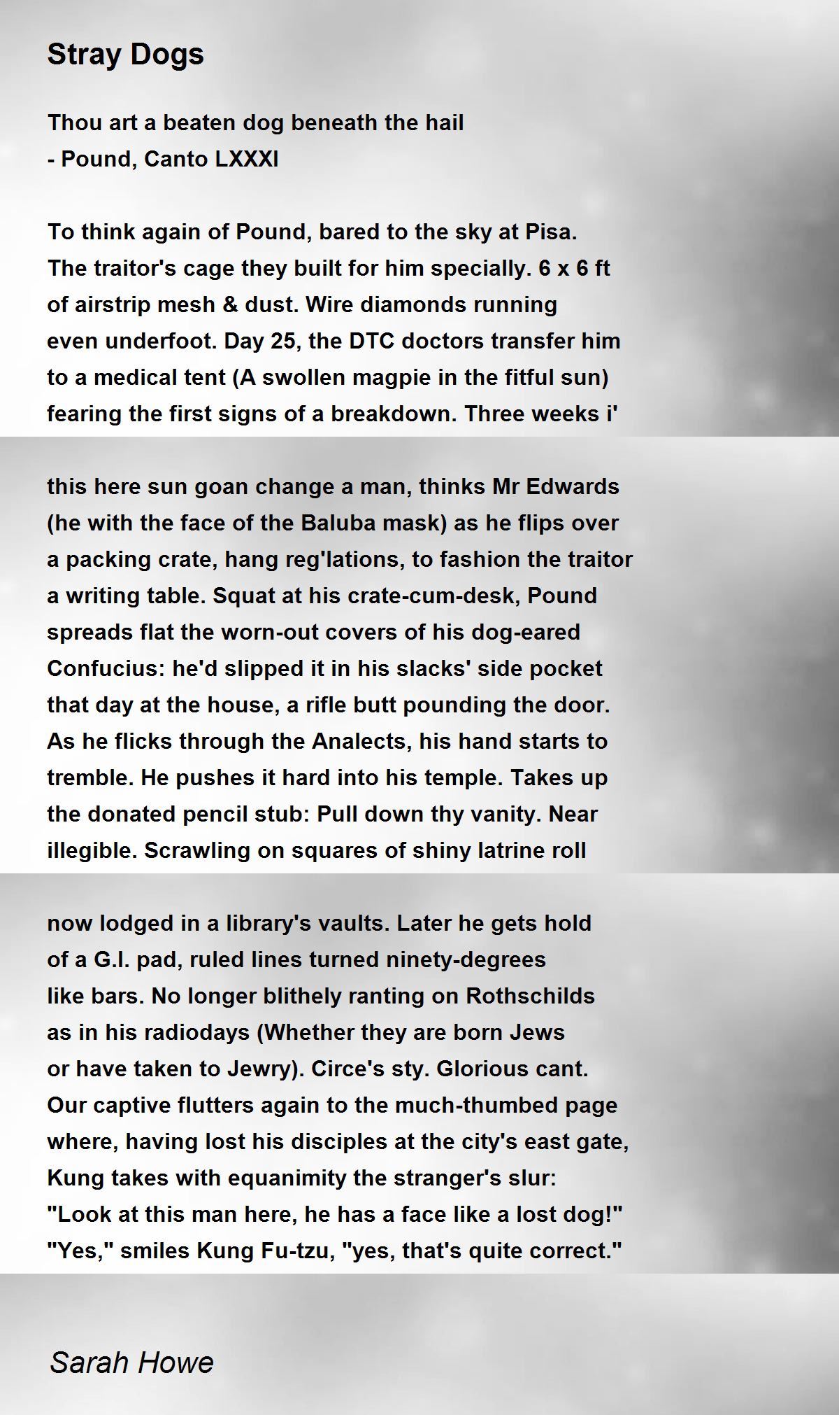 Stray Dogs Stray Dogs Poem by Sarah Howe