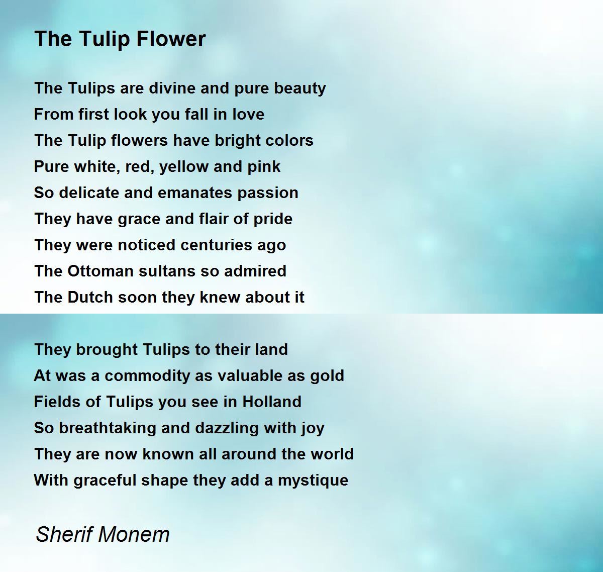 The Tulip Flower by Sherif Monem The Tulip Flower Poem