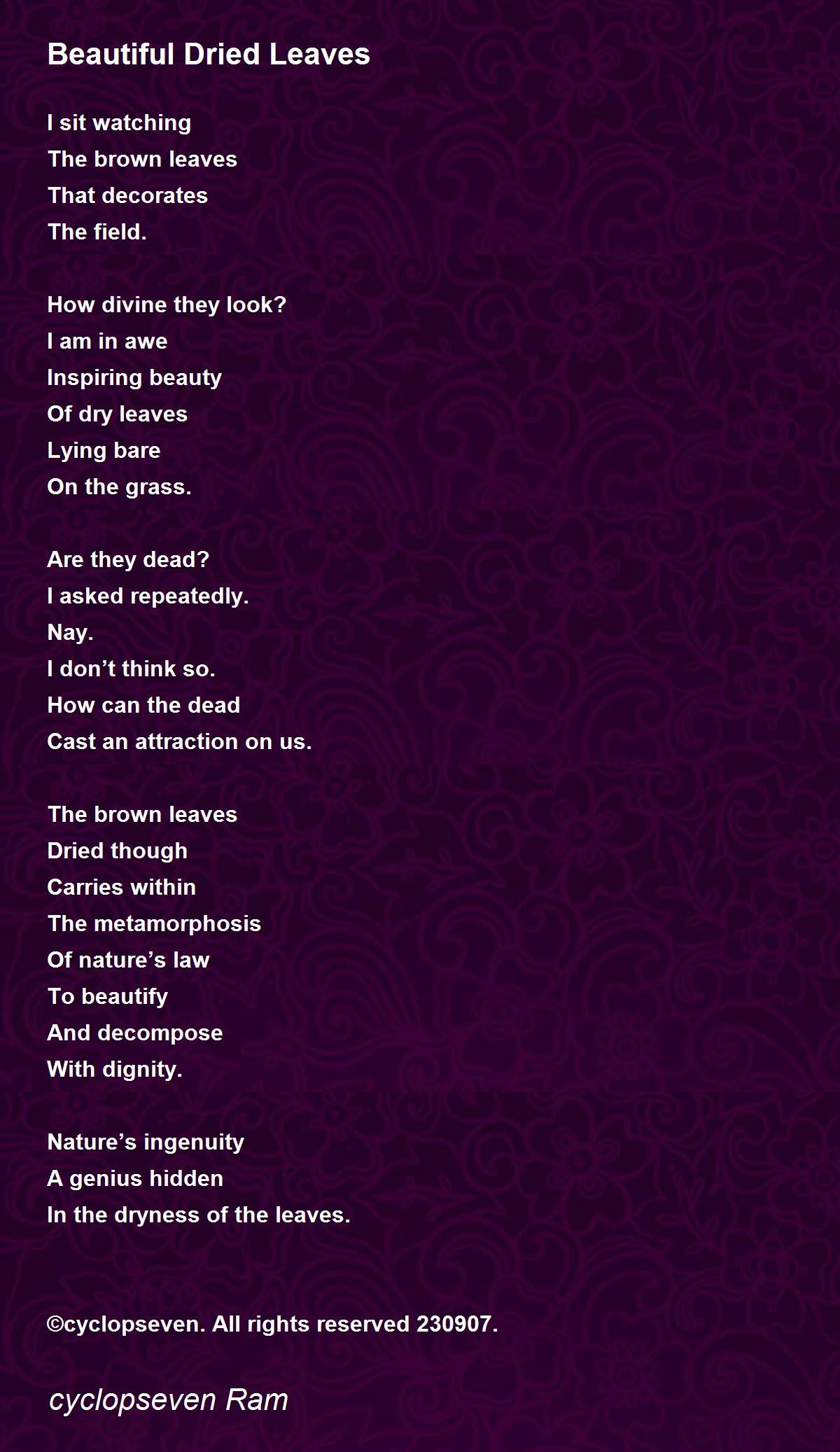 Beautiful Dried Leaves Beautiful Dried Leaves Poem by Cyclopseven R