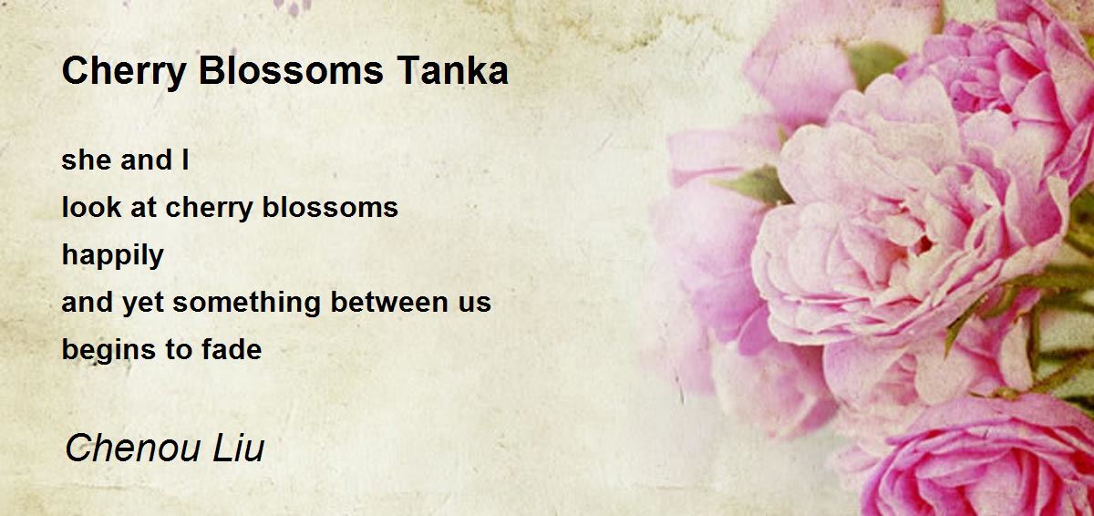 Cherry Blossoms Tanka Cherry Blossoms Tanka Poem by Chenou Liu