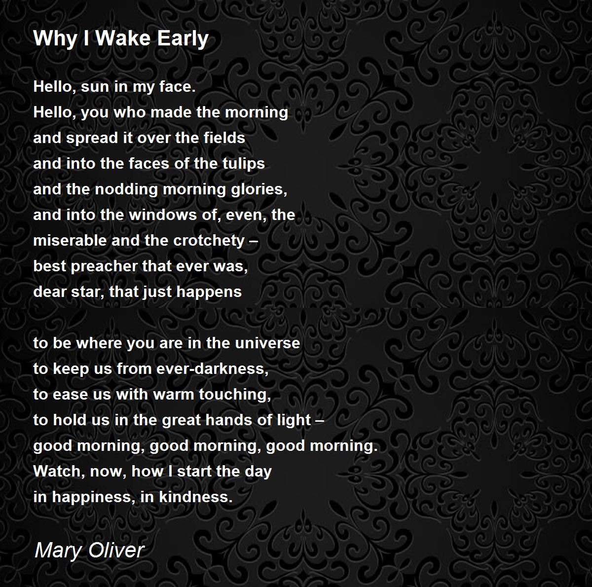 Why I Wake Early - Why I Wake Early Poem by Mary Oliver