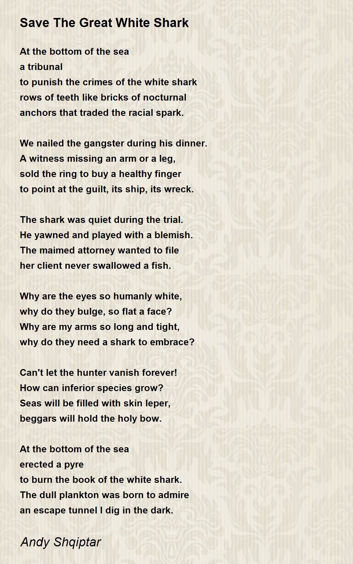 Save The Great White Shark - Save The Great White Shark Poem by Andy ...