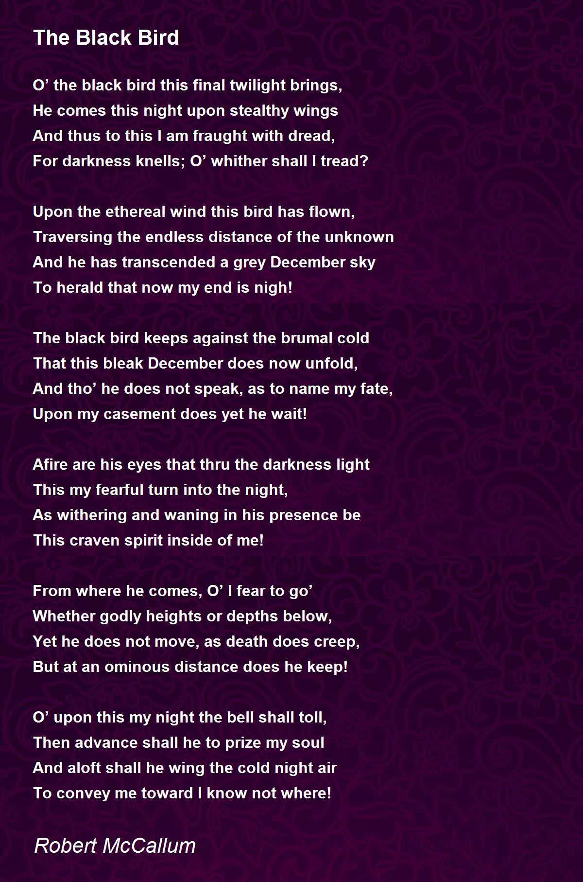 The Black Bird The Black Bird Poem by Robert McCallum