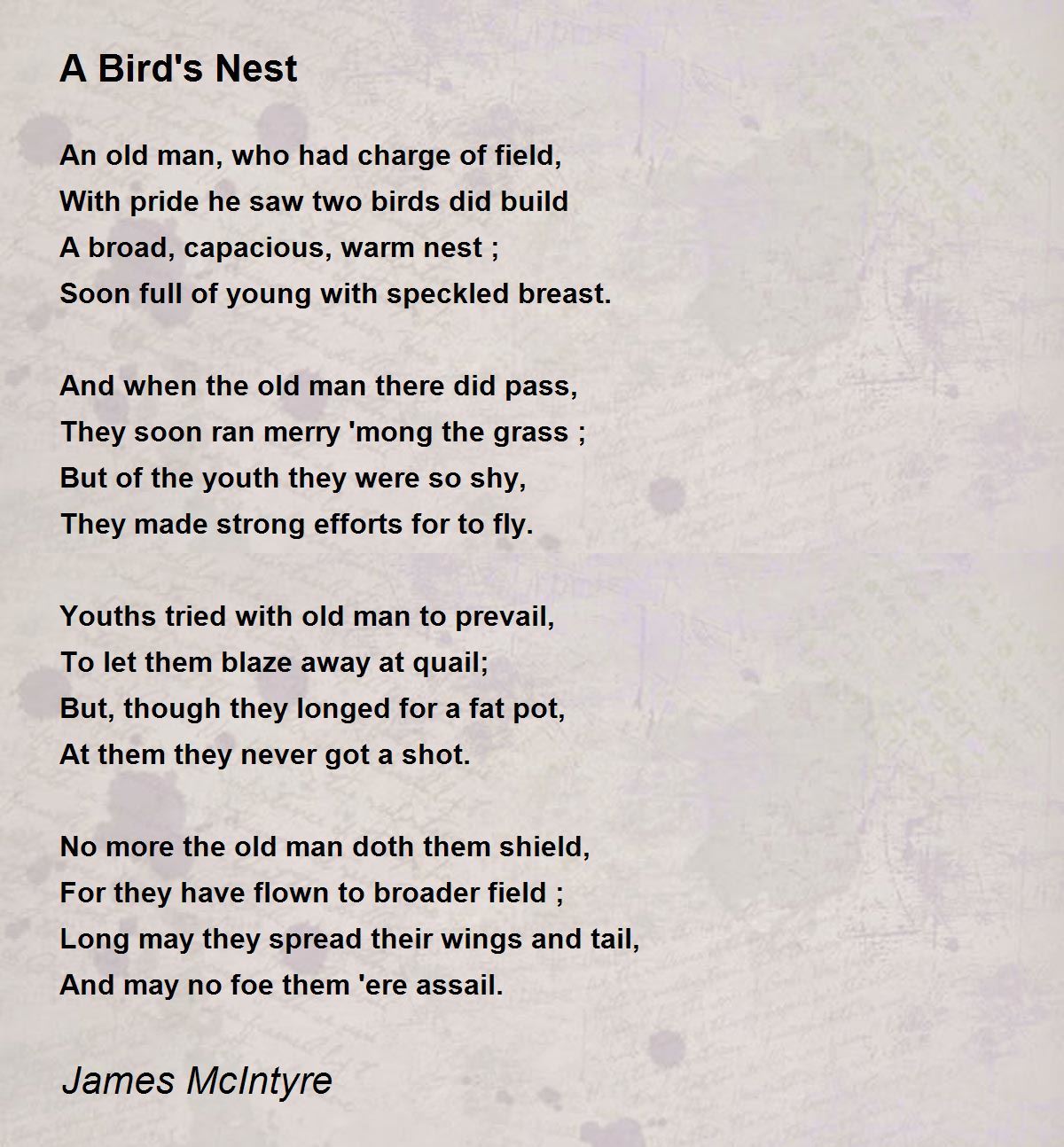 A Bird's Nest Poem by James McIntyre Poem Hunter