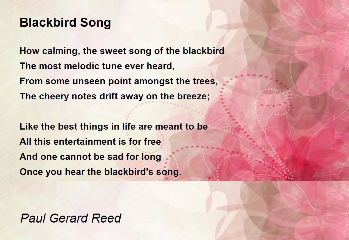 Blackbird Song Poem by Paul Reed - Poem Hunter