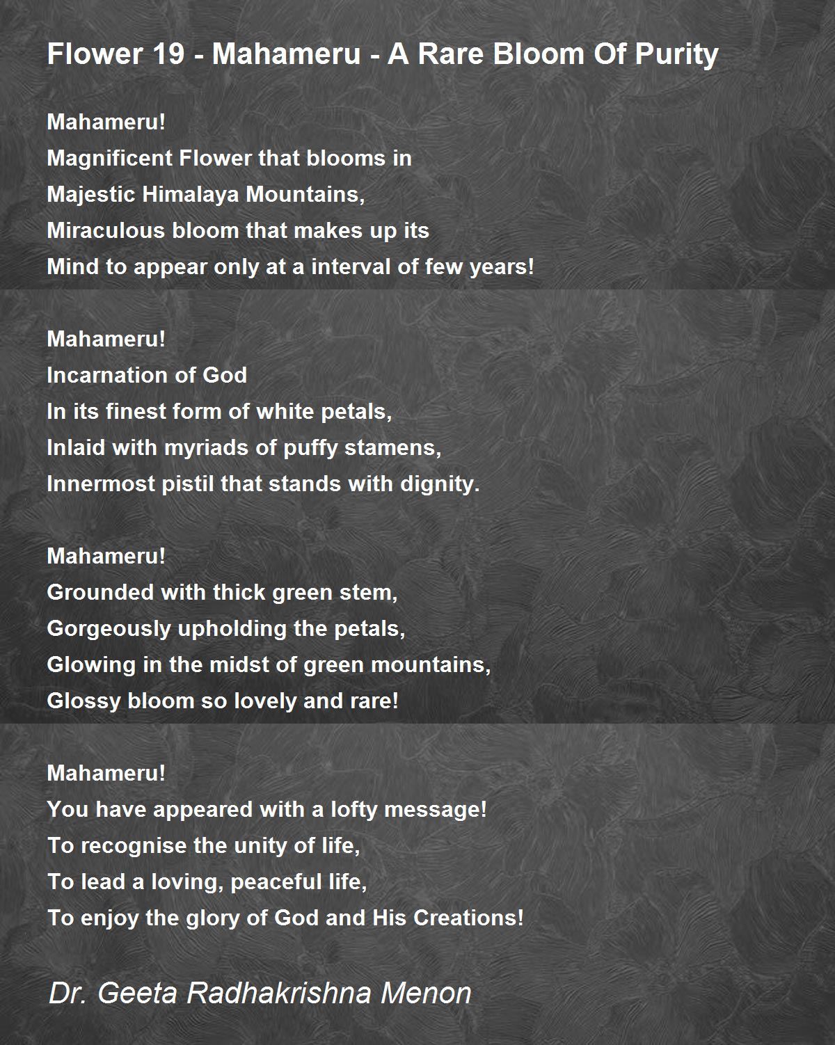 Flower 19 Mahameru A Rare Bloom Of Purity Flower 19 Mahameru