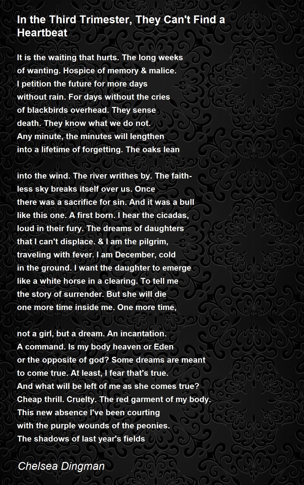 In the Third Trimester, They Can't Find a Heartbeat Poem by Chelsea