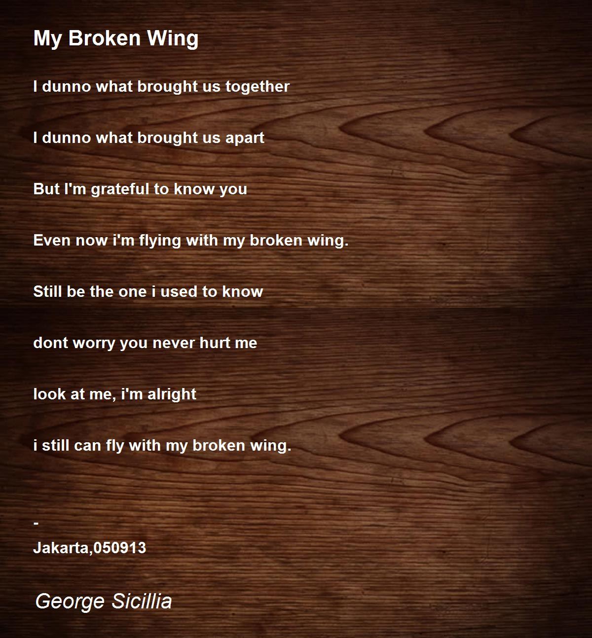 My Broken Wing by Sicillia My Broken Wing Poem