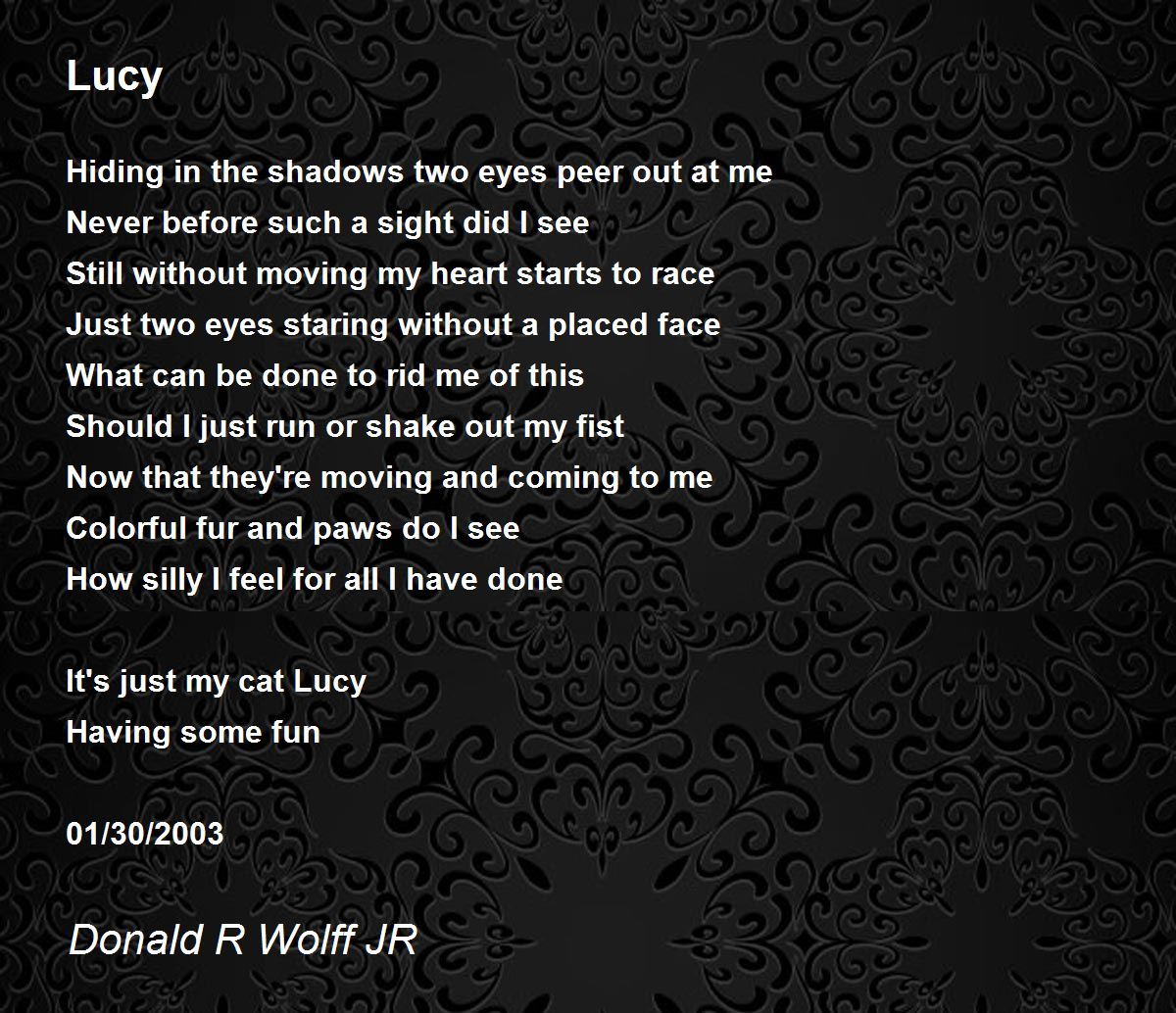 Lucy Lucy Poem by Donald R Wolff JR