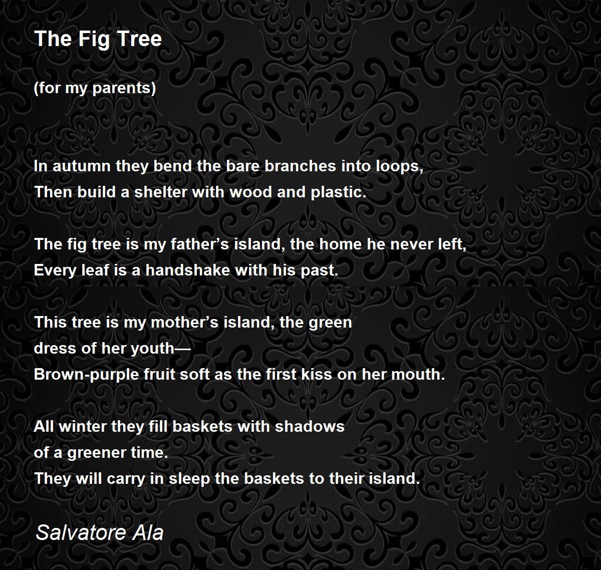 the fig tree essay