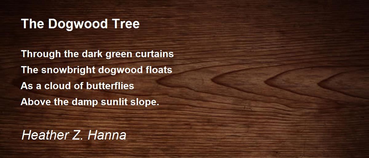 The Dogwood Tree The Dogwood Tree Poem by Heather Z. Hanna