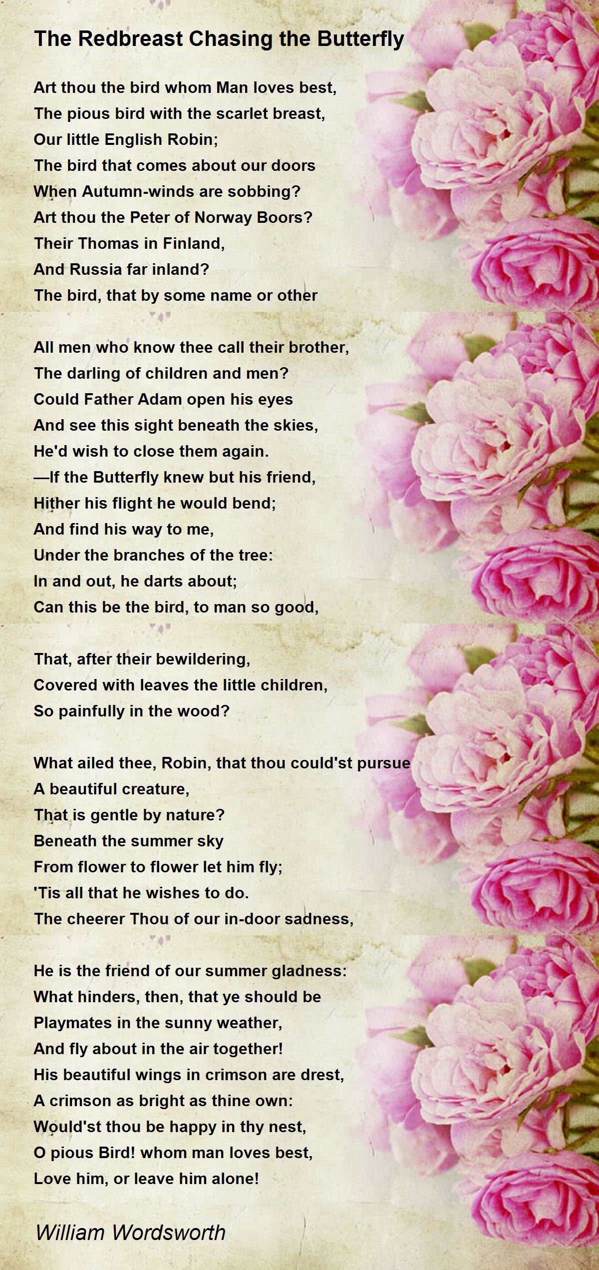 The Redbreast Chasing the Butterfly The Redbreast Chasing the