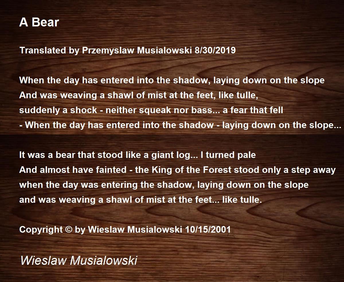 A Bear A Bear Poem by Wieslaw Musialowski