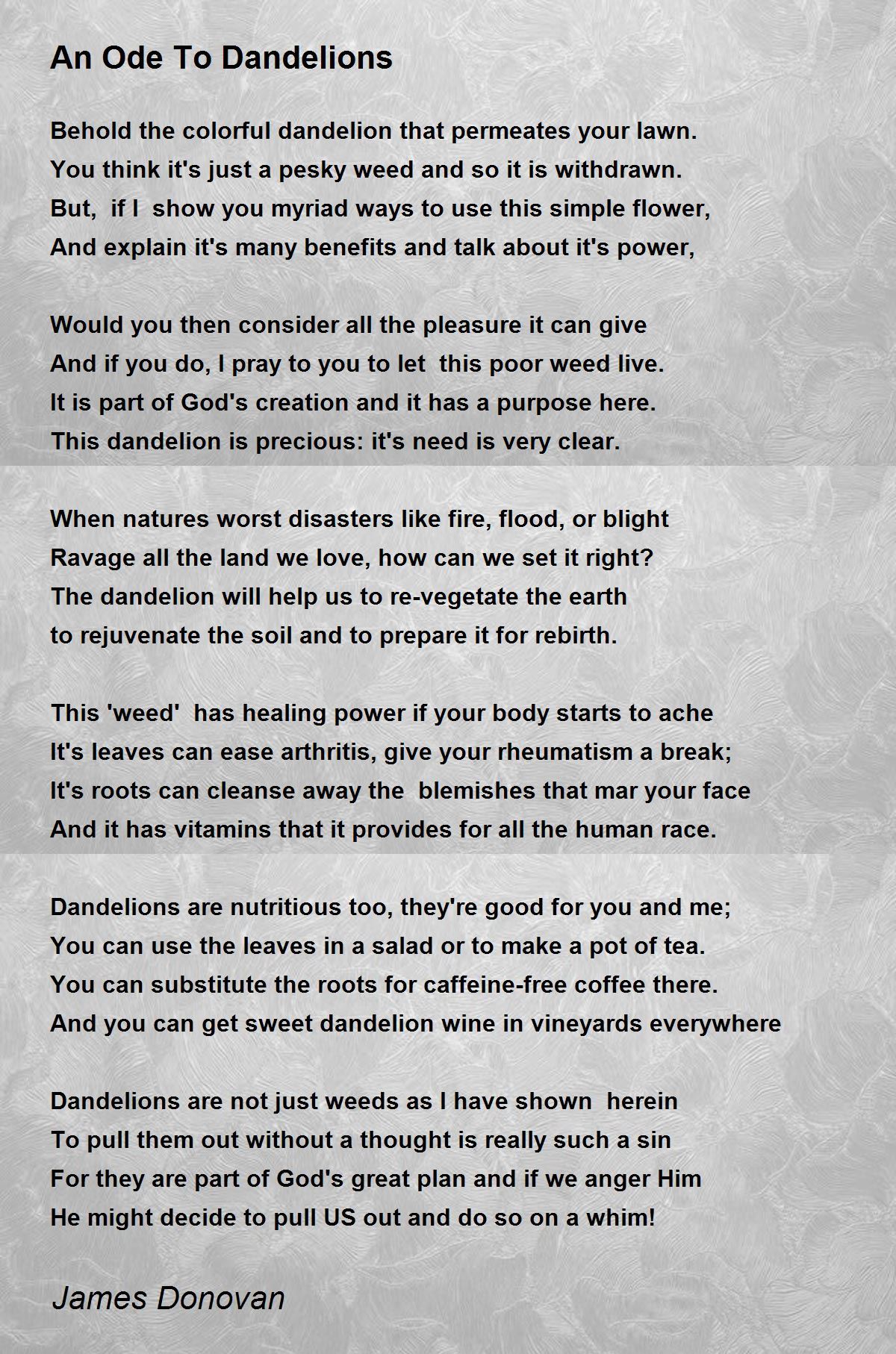An Ode To Dandelions An Ode To Dandelions Poem by James Donovan