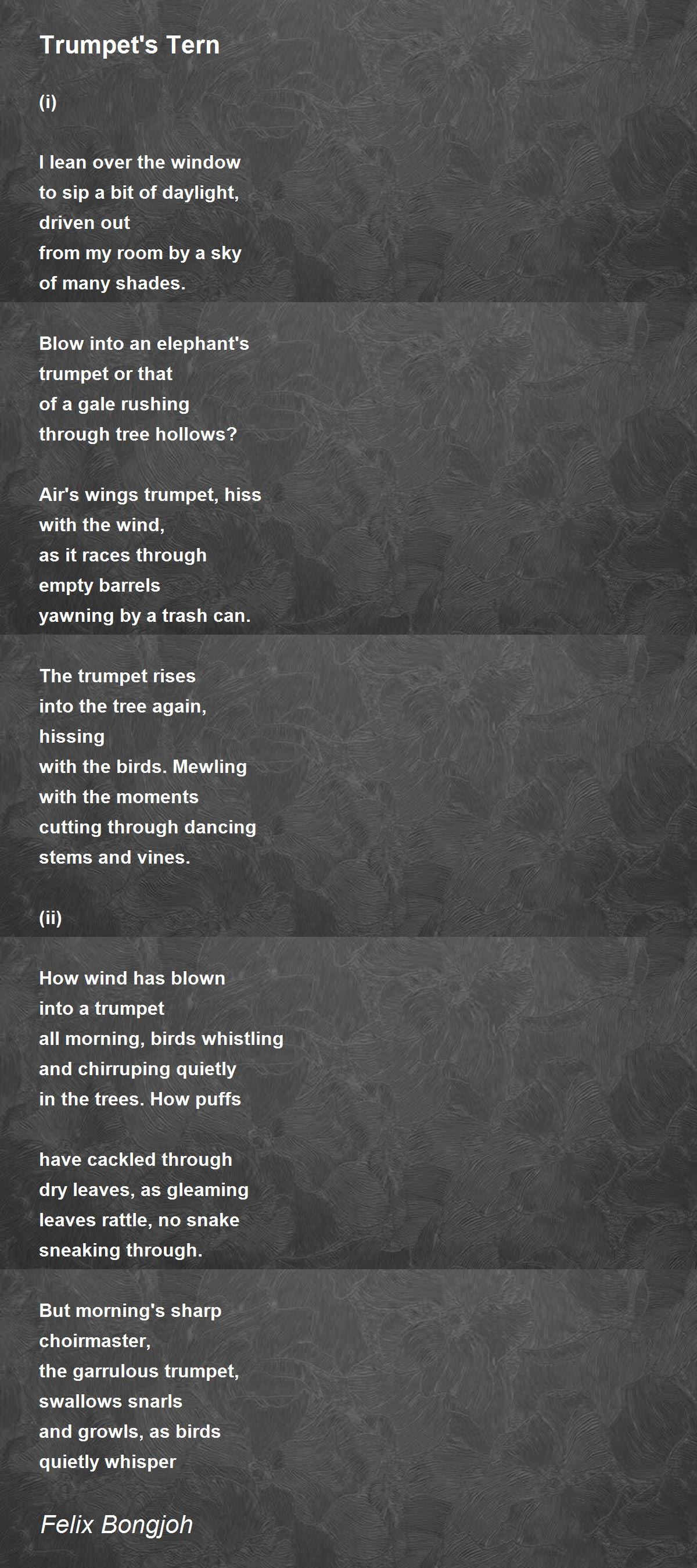 Trumpet S Tern Trumpet S Tern Poem By Felix Bongjoh