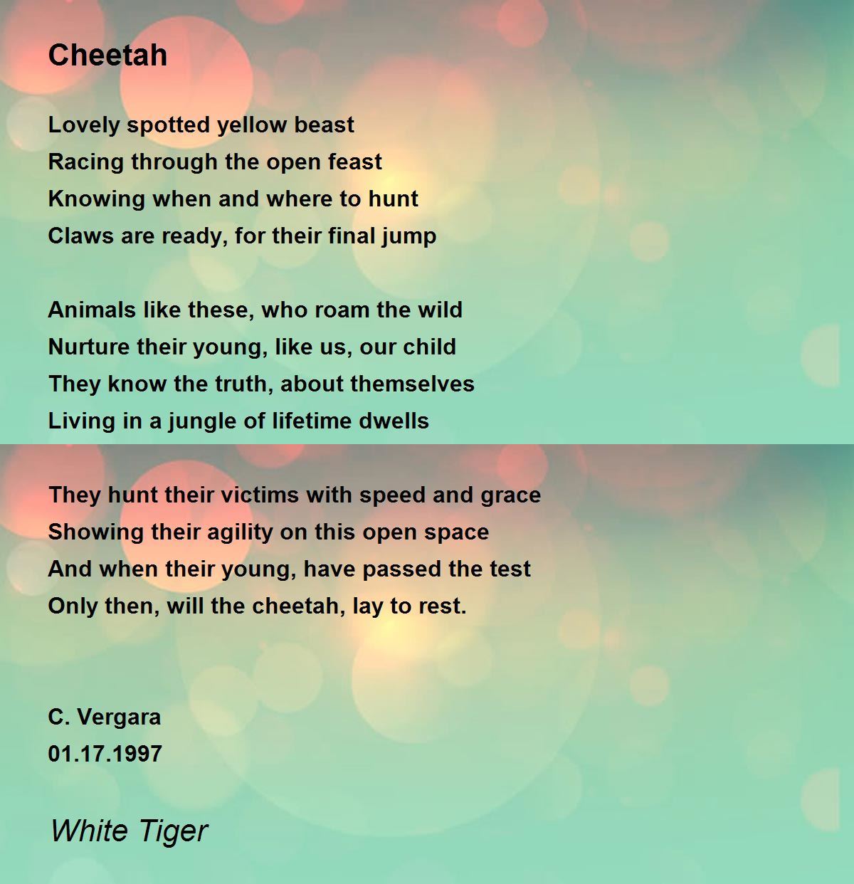 Cheetah Cheetah Poem by White Tiger