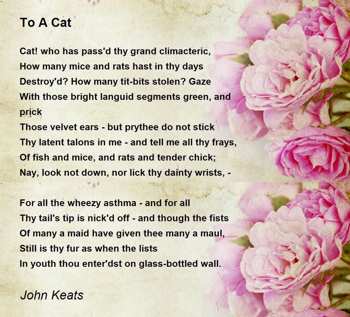 To A Cat Poem by John Keats - Poem Hunter
