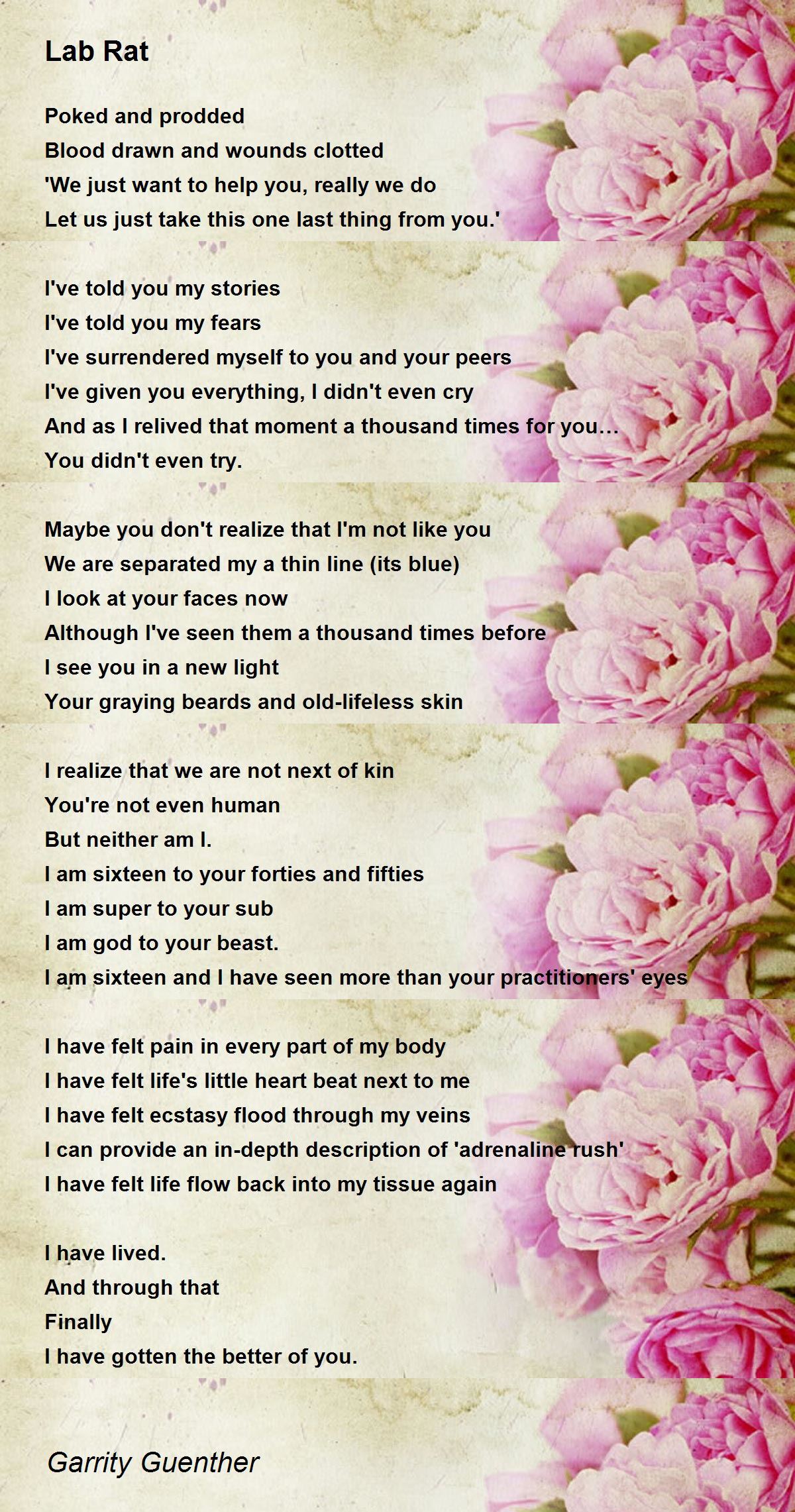 Lab Rat by Garrity Guenther Lab Rat Poem