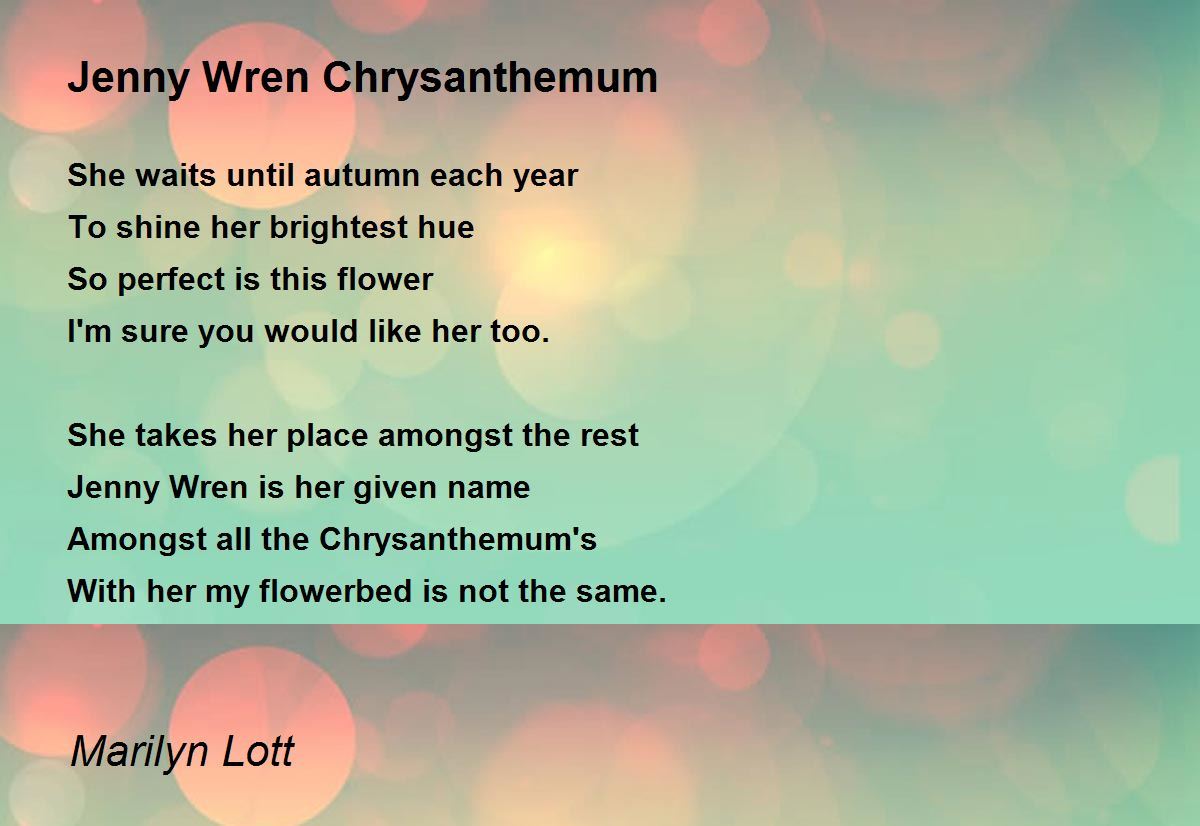 Jenny Wren Chrysanthemum by Marilyn Lott Jenny Wren Chrysanthemum Poem
