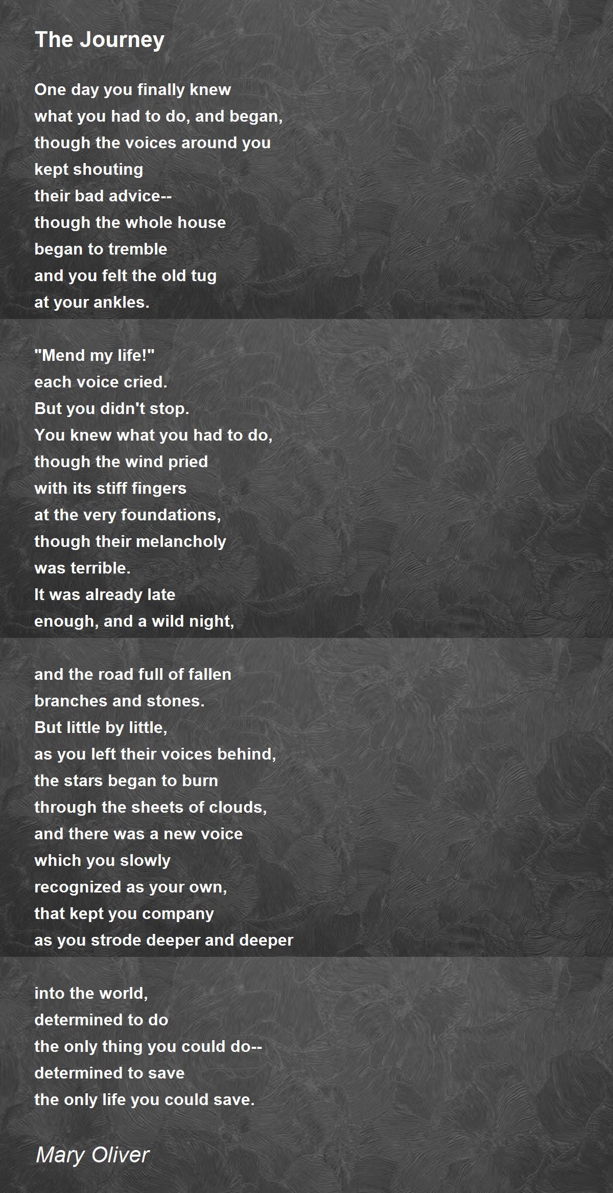 The Journey Poem by Mary Oliver - Poem Hunter Comments