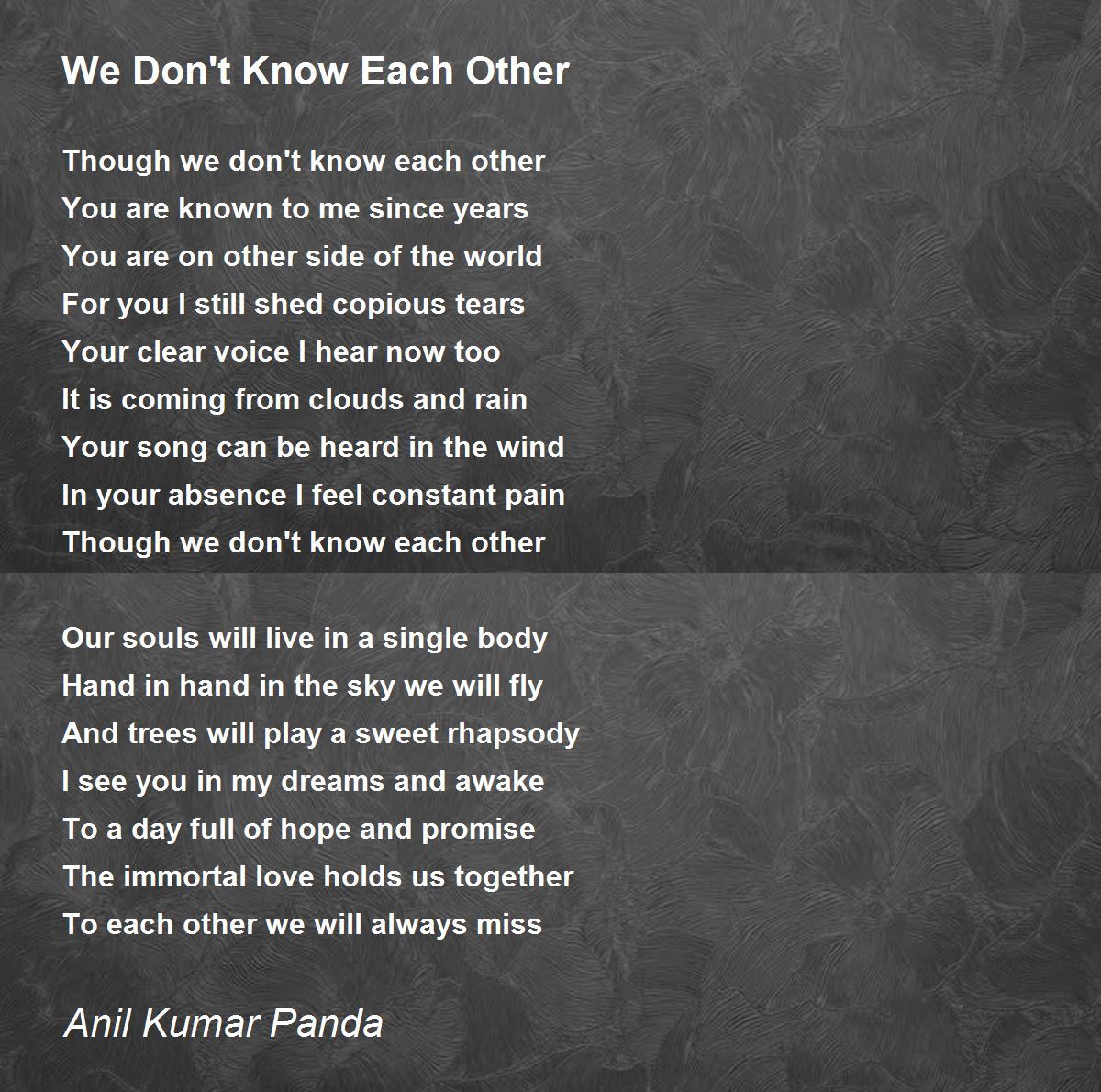 We Don't Know Each Other We Don't Know Each Other Poem by Anil Kumar