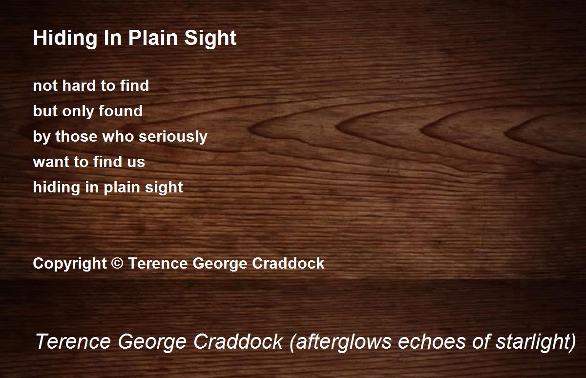 Hiding In Plain Sight Hiding In Plain Sight Poem by Terence