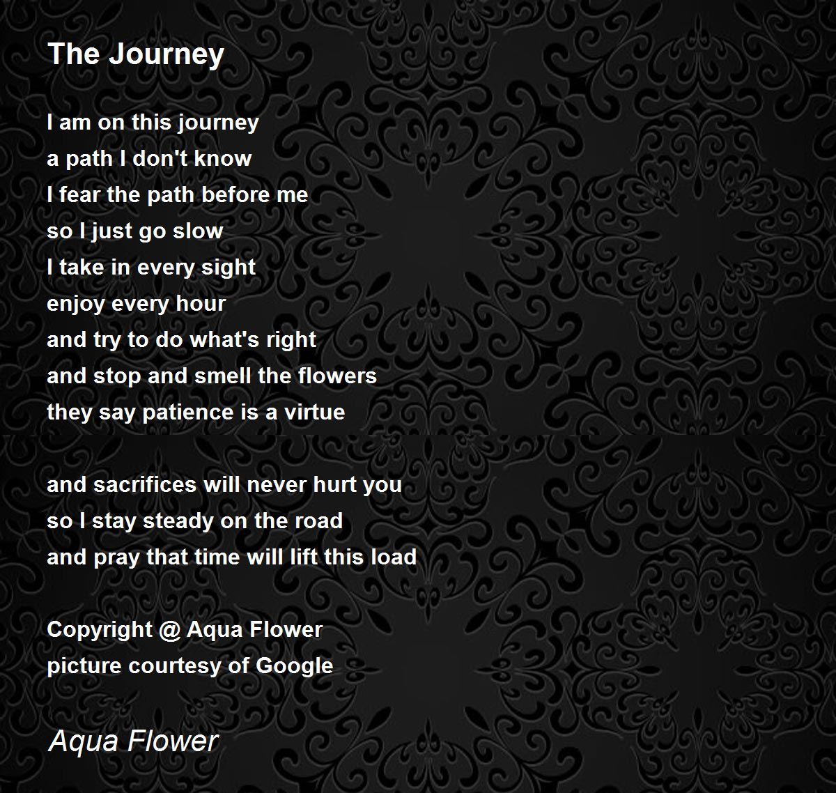 The Journey Poem by Aqua Flower Poem Hunter