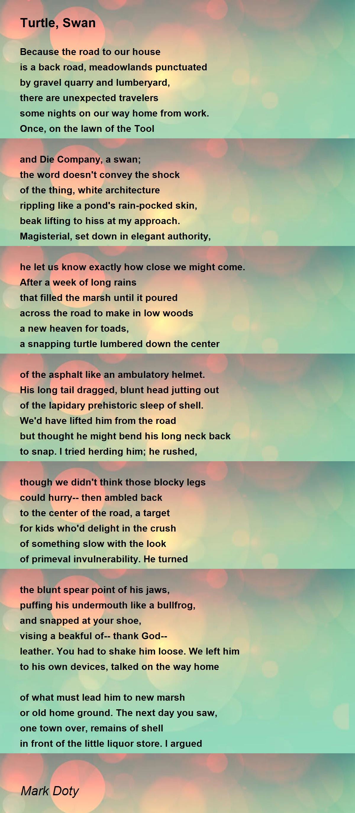 Turtle, Swan Poem by Mark Doty Poem Hunter
