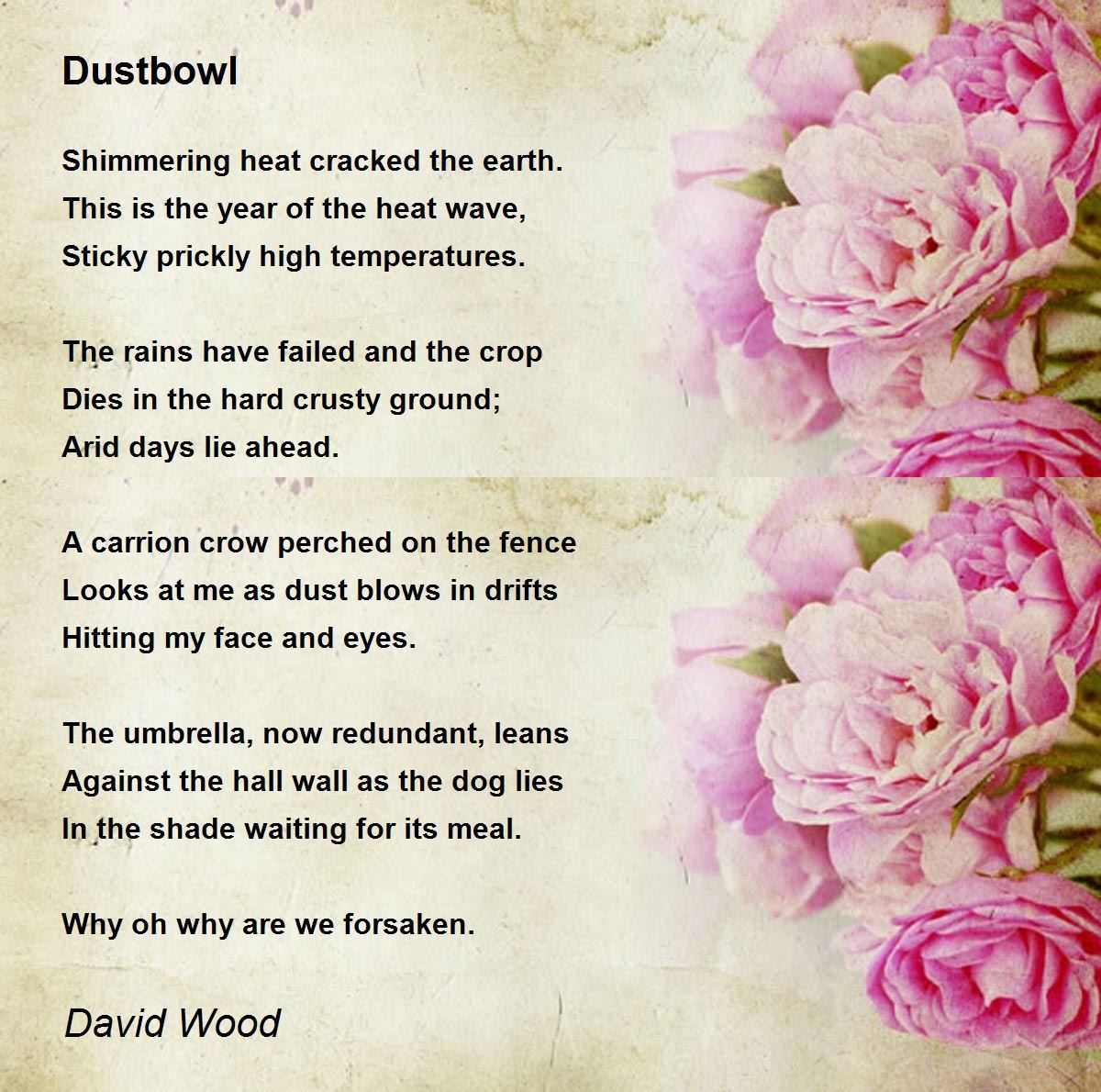 Dustbowl Dustbowl Poem by David Wood