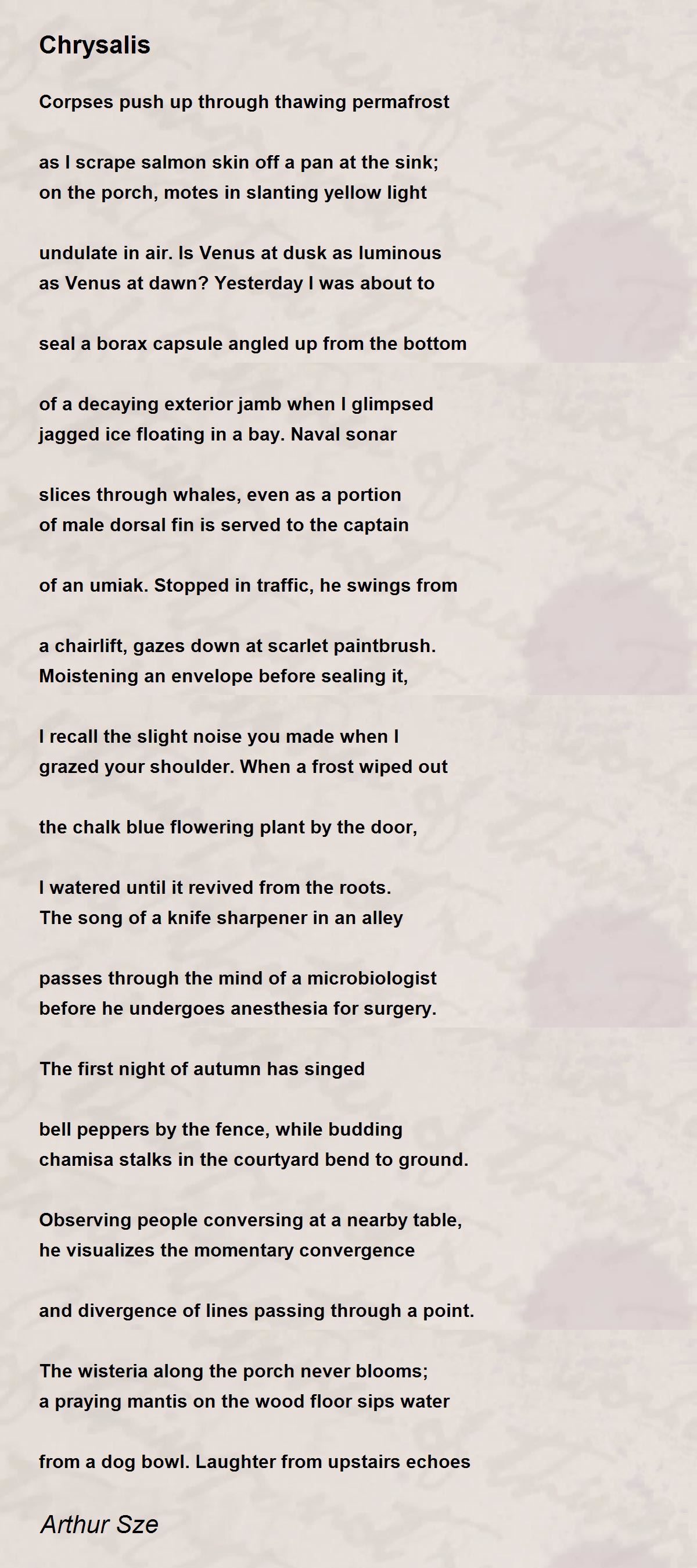 Chrysalis Chrysalis Poem by Arthur Sze