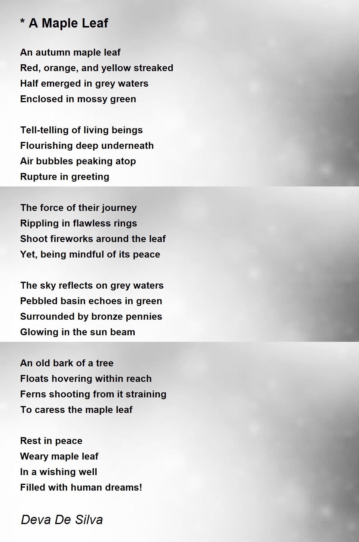 * A Maple Leaf Poem by Deva De Silva Poem Hunter