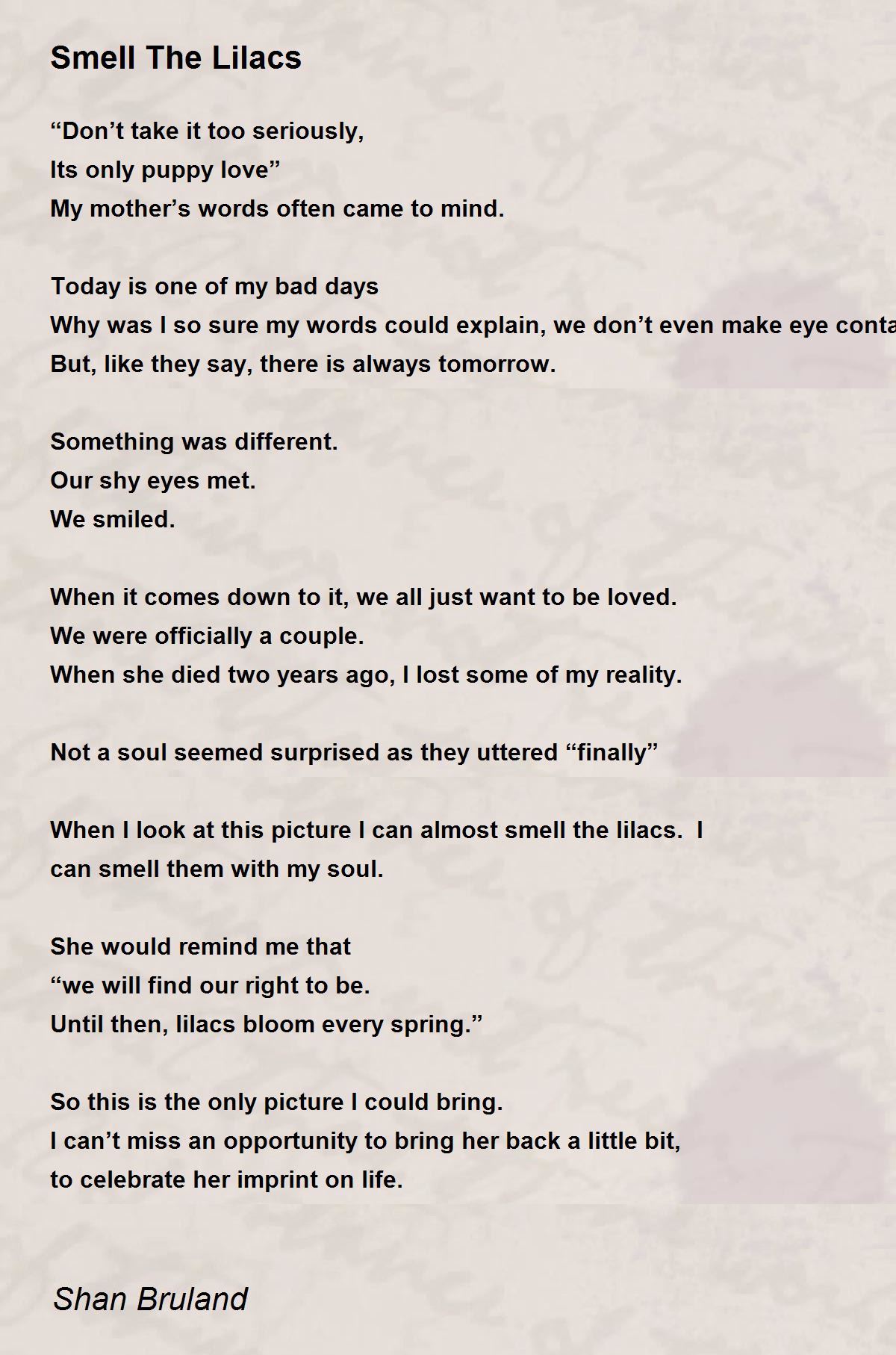 Smell The Lilacs Smell The Lilacs Poem by Shan Bruland