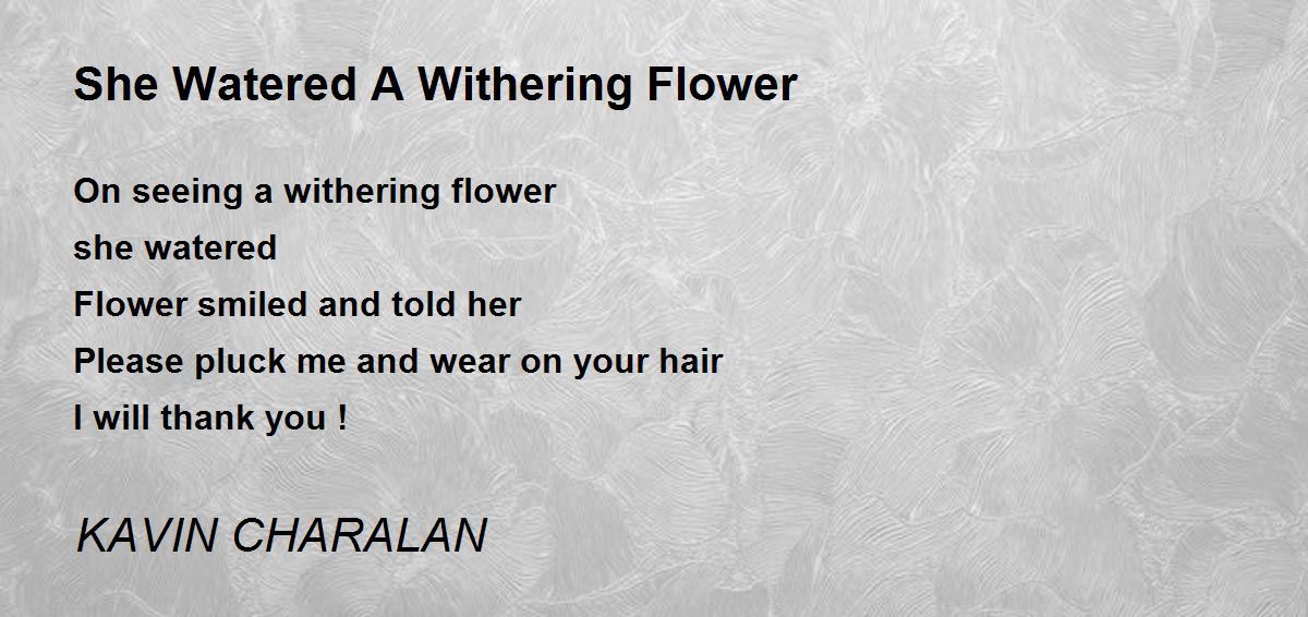 She Watered A Withering Flower by KAVIN CHARALAN She Watered A