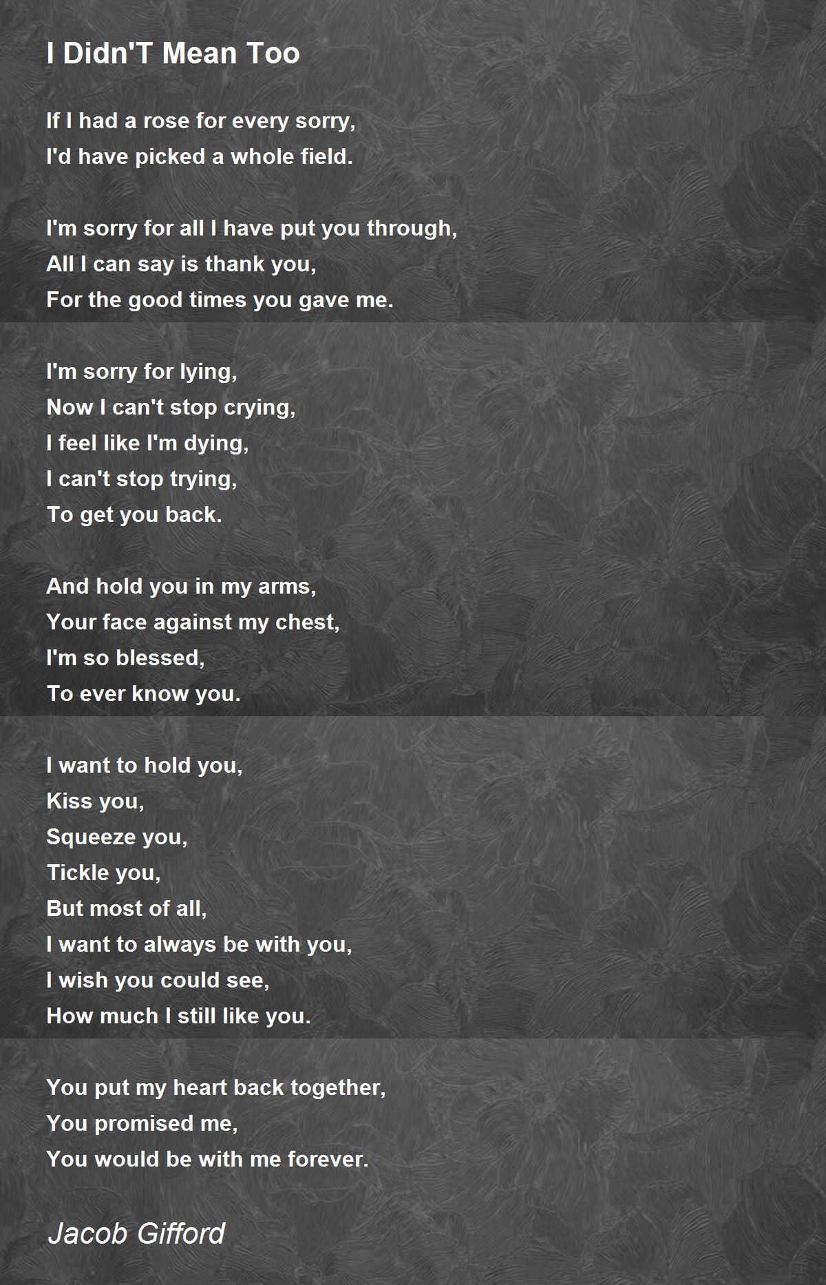 I Didn T Mean Too By Jacob Gifford I Didn T Mean Too Poem