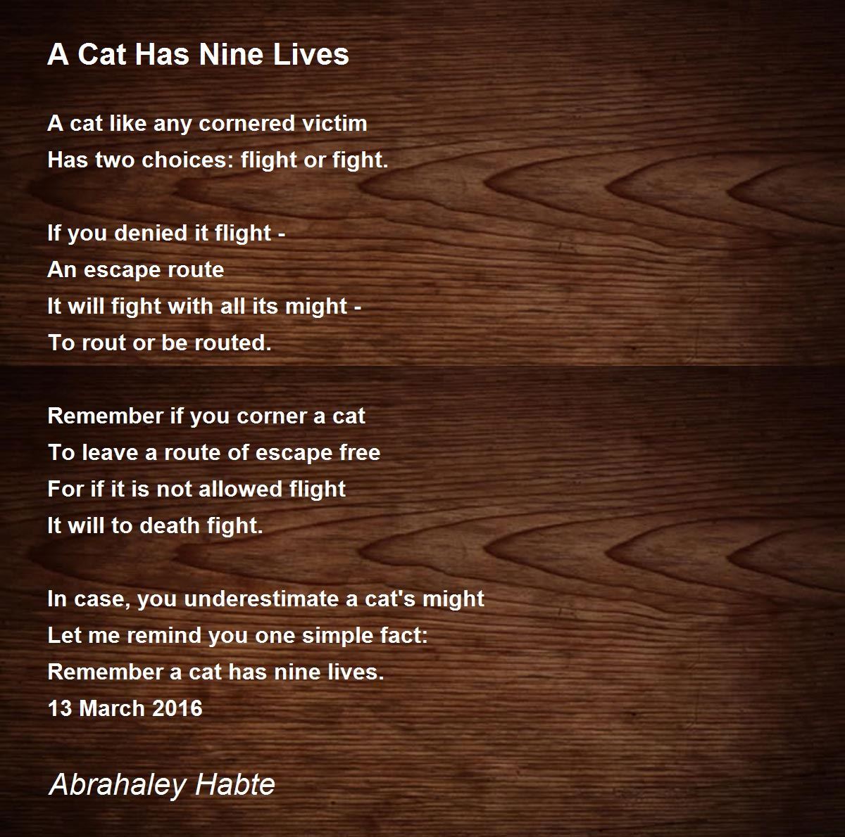 a cat has nine lives