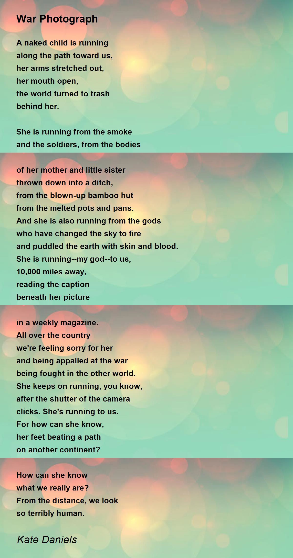 War photograph kate daniels essay 07 image