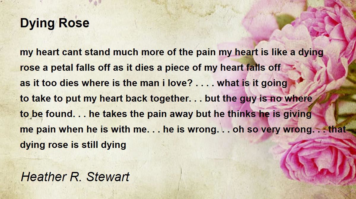 Dying Rose Dying Rose Poem by Heather R. Stewart