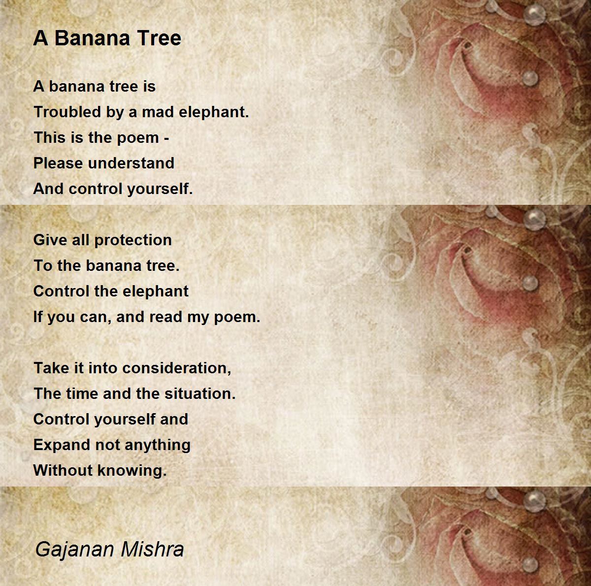 A Banana Tree Poem by Gajanan Mishra - Poem Hunter