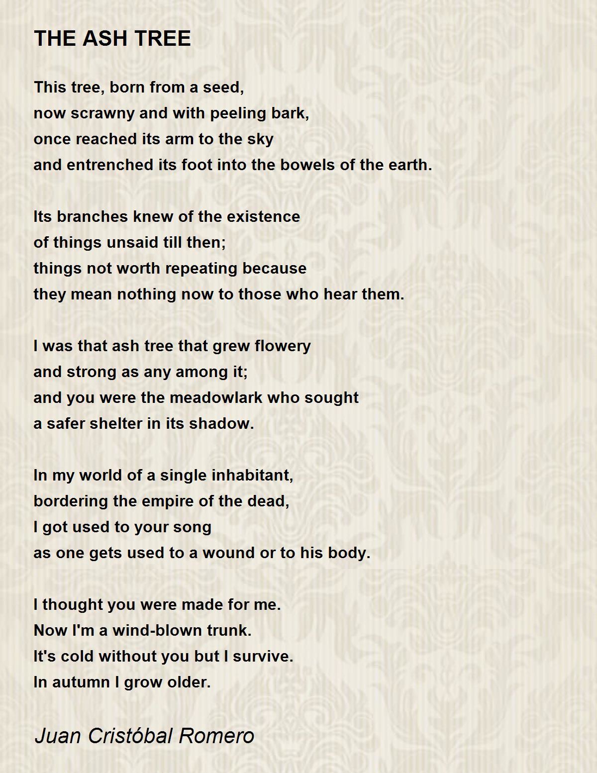 THE ASH TREE by Juan Cristóbal Romero THE ASH TREE Poem