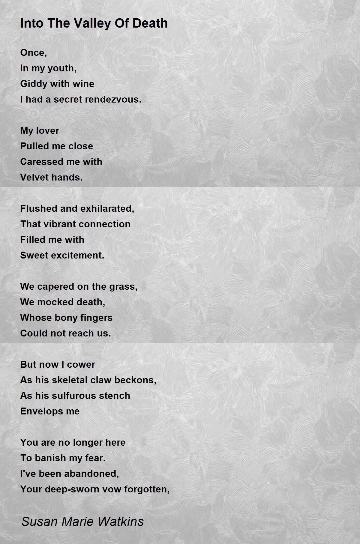 Into The Valley Of Death Into The Valley Of Death Poem by Susan Marie