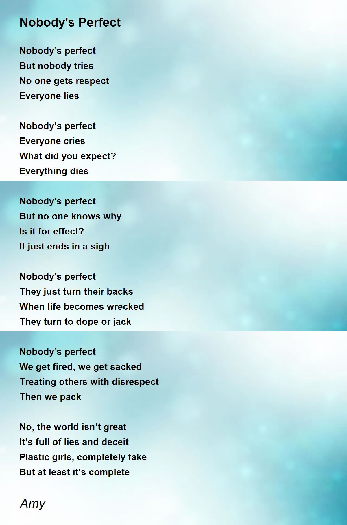 Nobody's Perfect Poem by Amy Poem Hunter