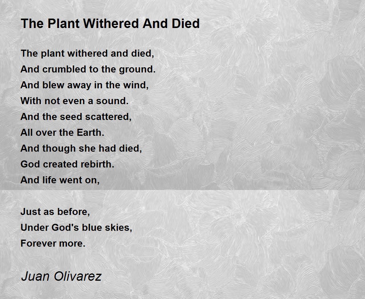 The Plant Withered And Died The Plant Withered And Died Poem by Juan