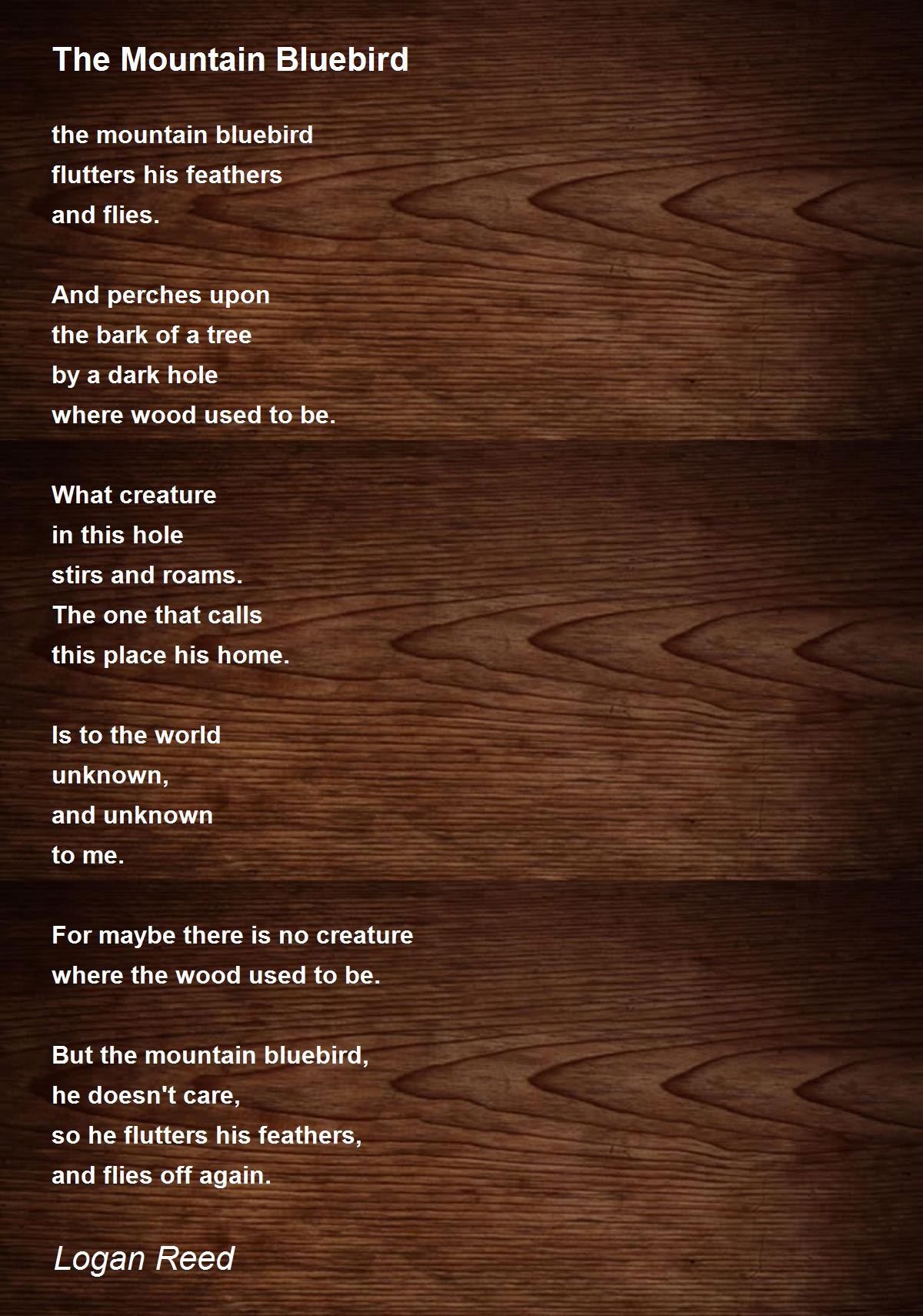 The Mountain Bluebird The Mountain Bluebird Poem by Logan Reed