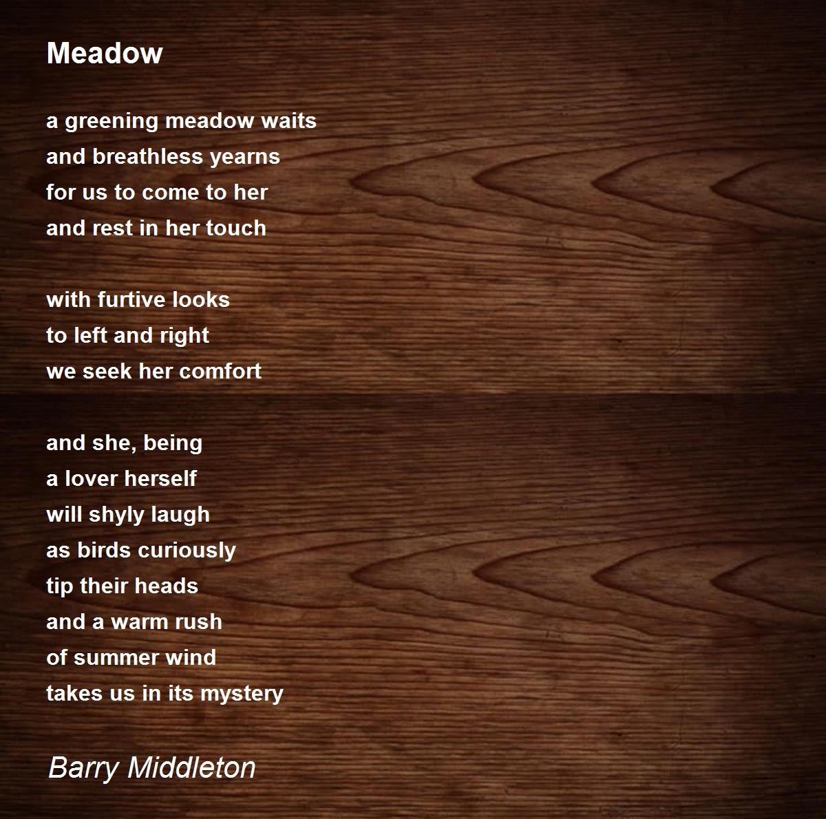 Meadow Meadow Poem by Barry Middleton
