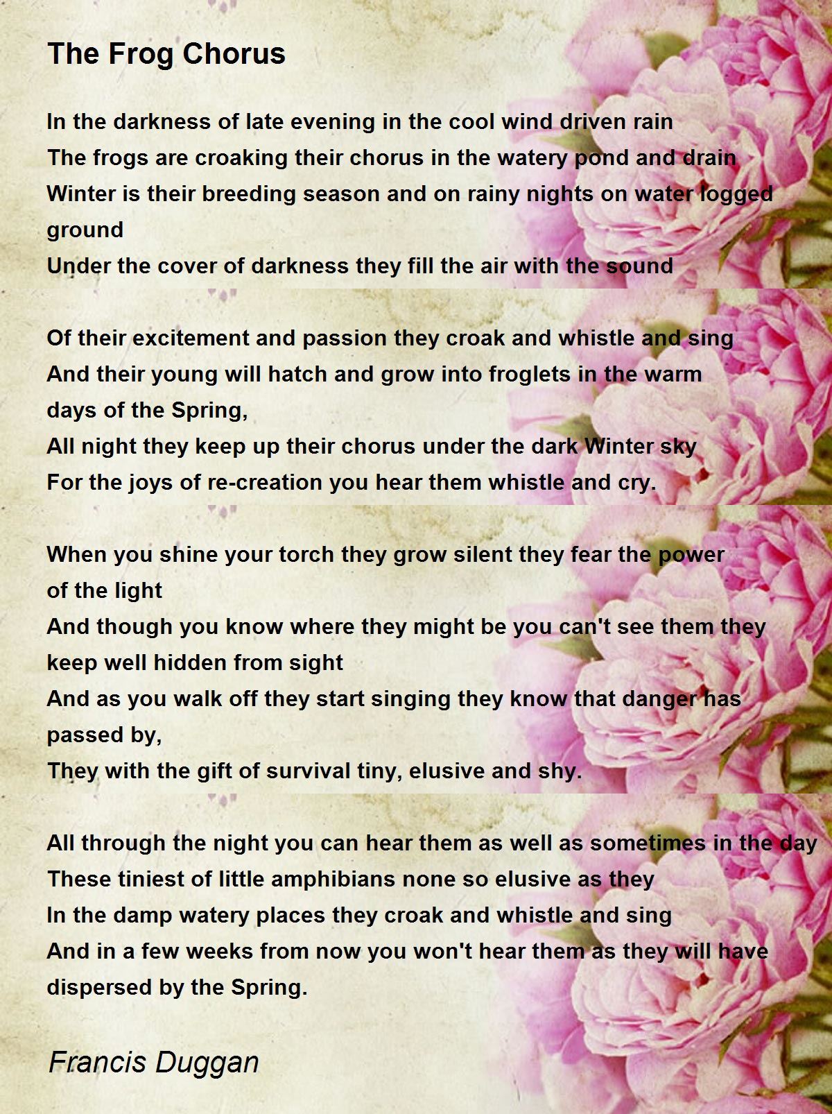 The Frog Chorus The Frog Chorus Poem by Francis Duggan