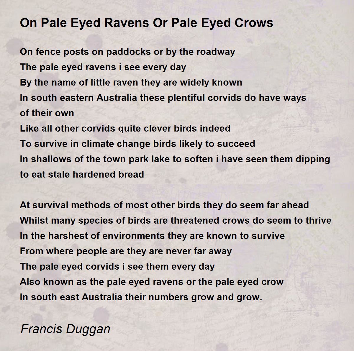 On Pale Eyed Ravens Or Pale Eyed Crows - On Pale Eyed Ravens Or Pale