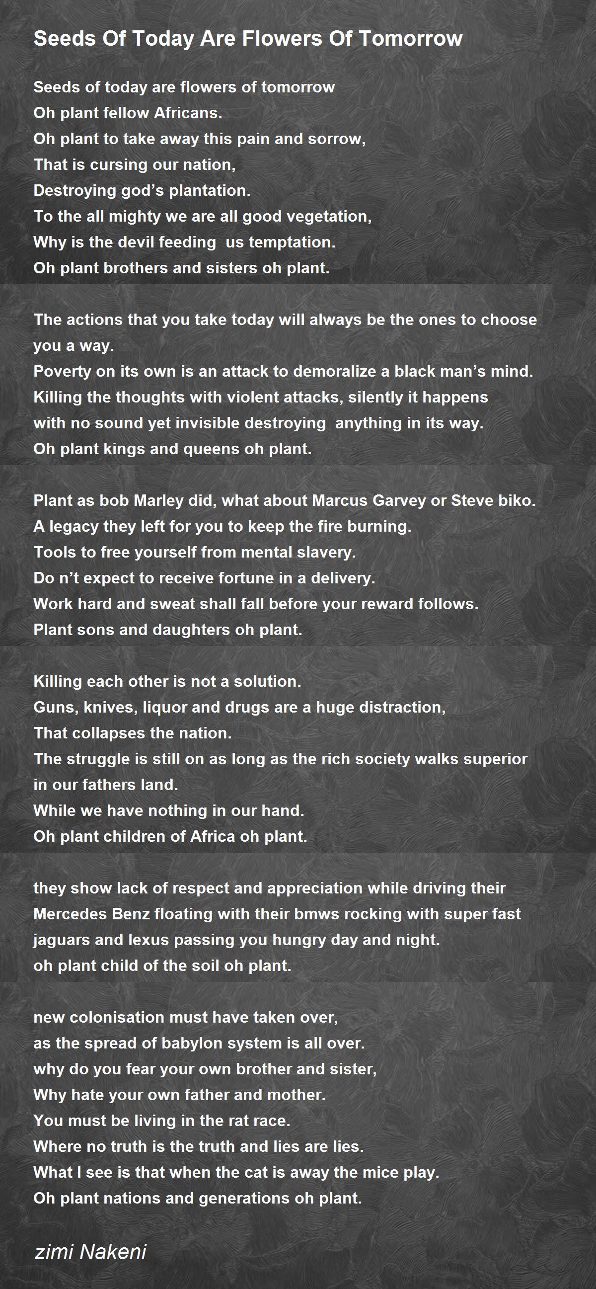 Seeds Of Today Are Flowers Of Tomorrow Seeds Of Today Are Flowers Of